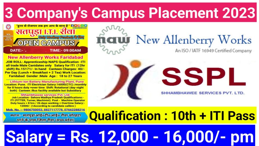3 Company'S Campus Placement