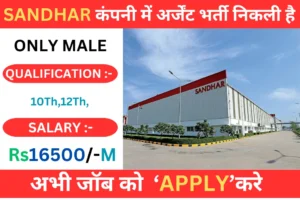 Sandhar Technologies Limited  Campus Placement